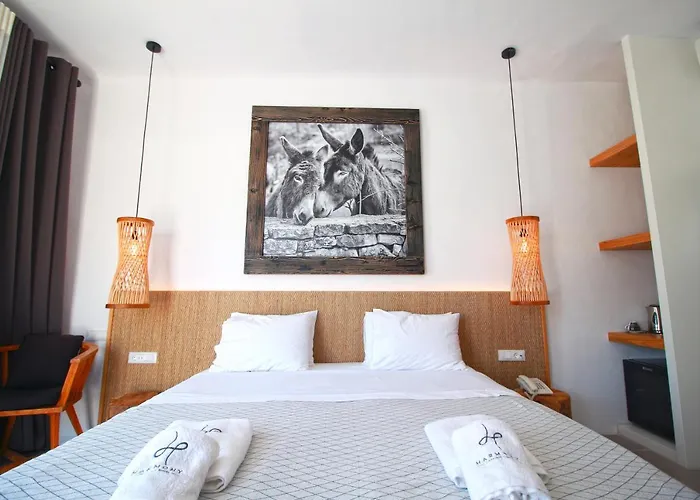 哈摩尼精品酒店